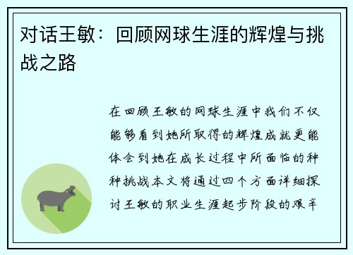 对话王敏：回顾网球生涯的辉煌与挑战之路